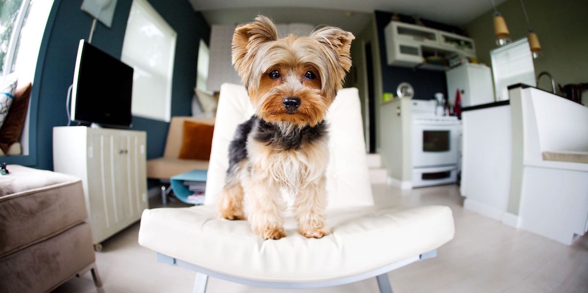 Moving Household Goods To Portugal By Roadself Drive Moving Household Goods To Portugal By Roadself Drive